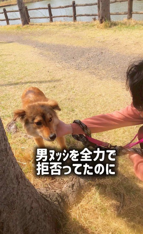 ラッキーくんの変化3