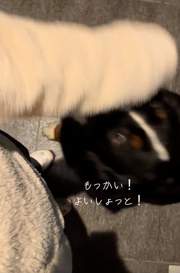 腕を持ち上げるララちゃん