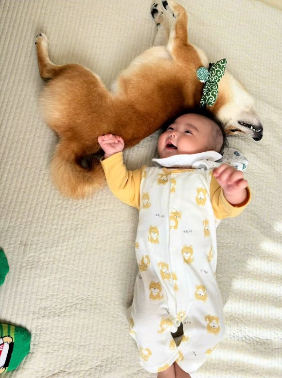 赤ちゃんにくっつくまるくん