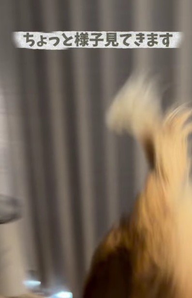 お姉ちゃんに寄り添ったのは…