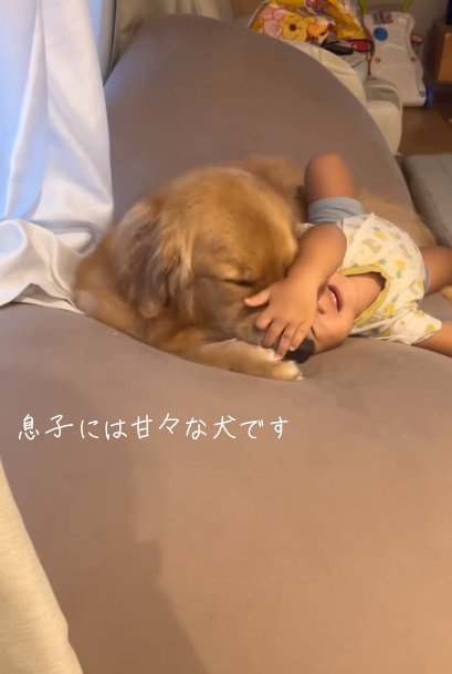 弟くんに甘々なこむぎくん