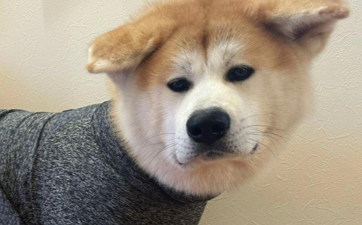 嫌そうな表情にクスッ