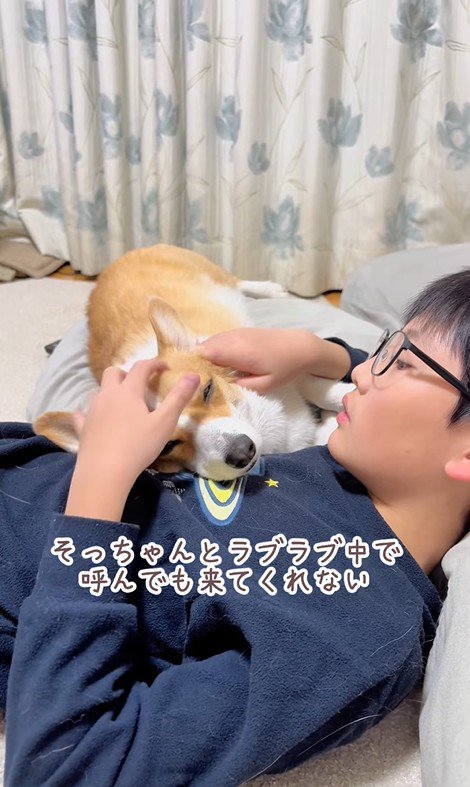 ココちゃんの尊い行動3