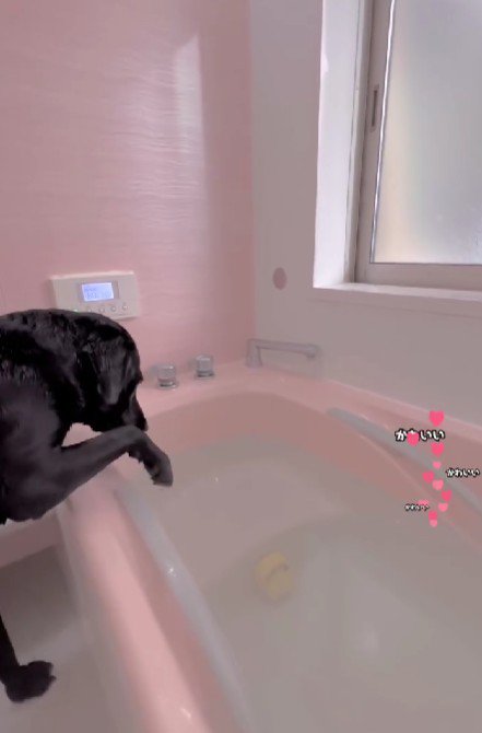 湯加減はどうかな？