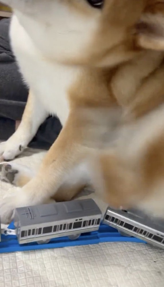 脱線してしまった…！