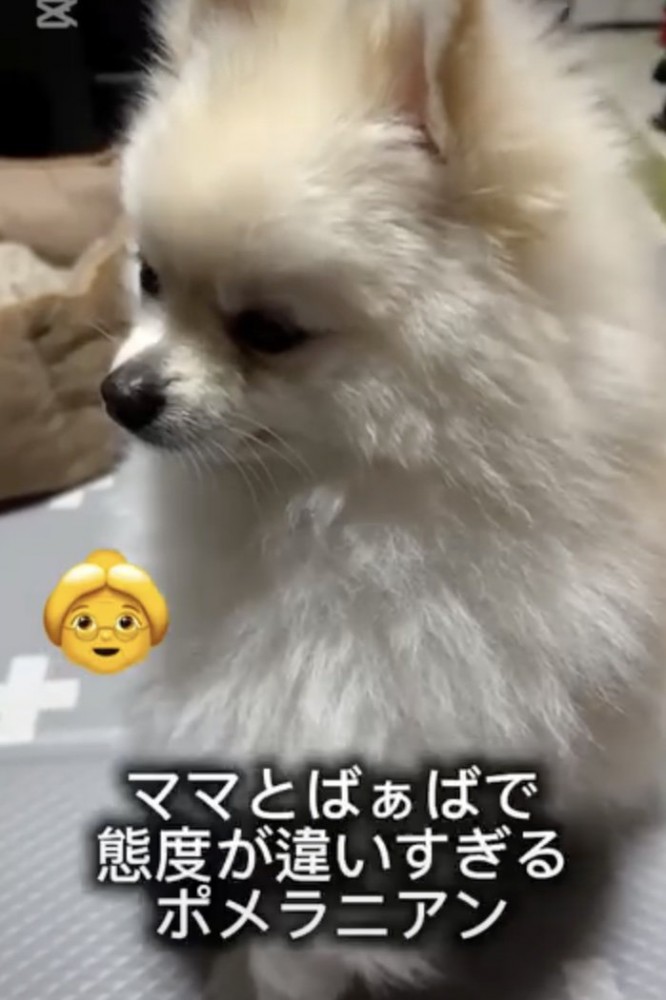 どこ見てる…？？