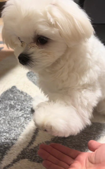 もしかして潔癖症…！？