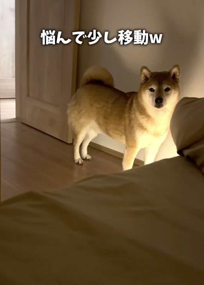 ちょっとだけ近づいてくれました