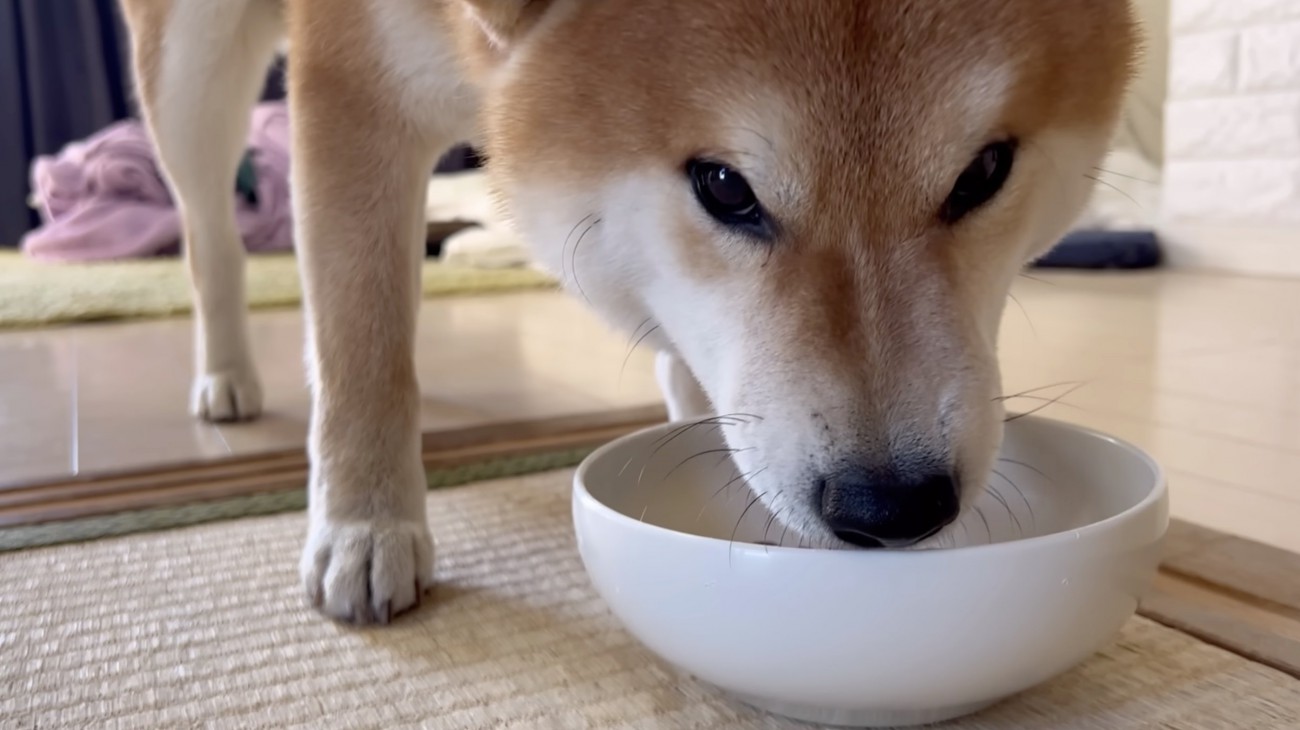 あっという間に完食