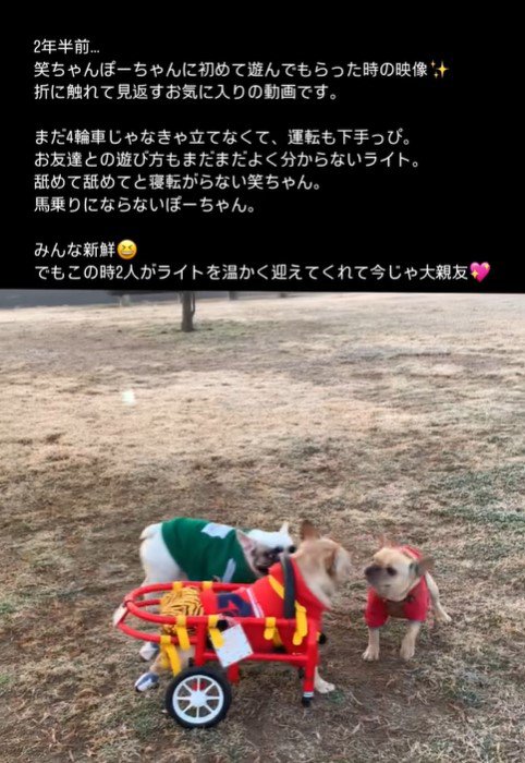 車椅子のライトくんとお友達2