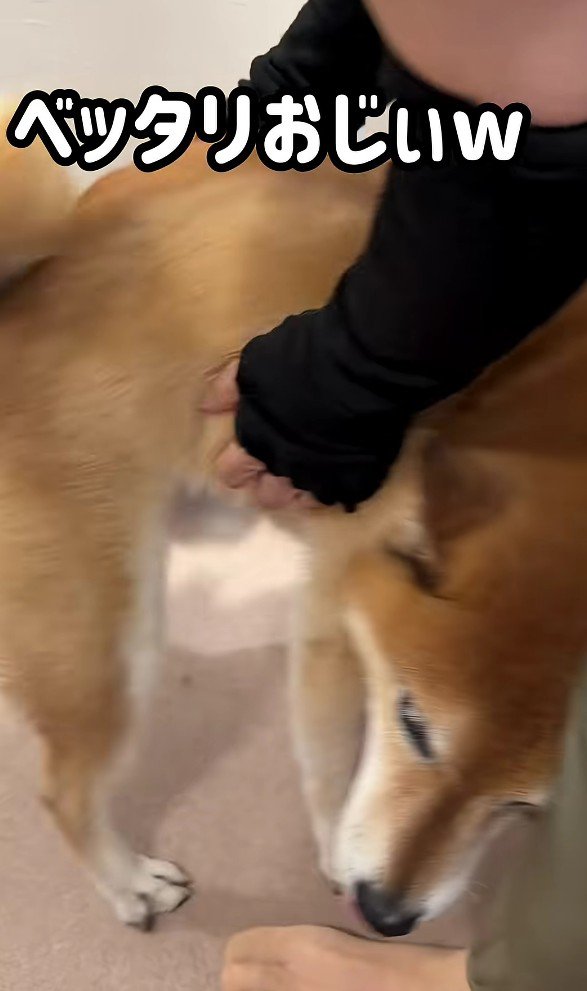 おばあちゃんにベッタリ
