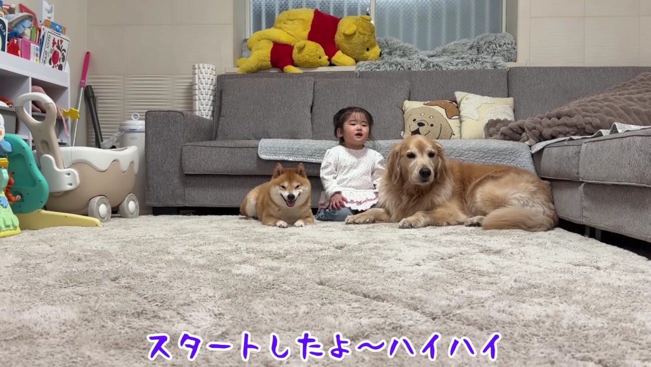 「よーいどん！」