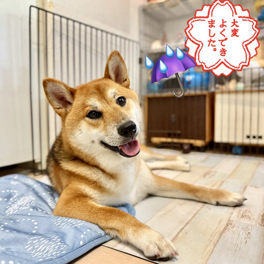 イケメン