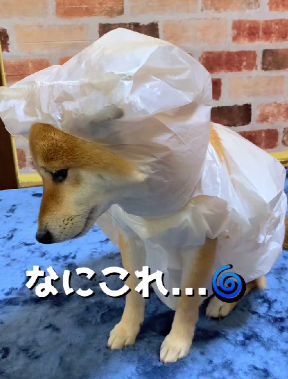 手作りのレインコート！！