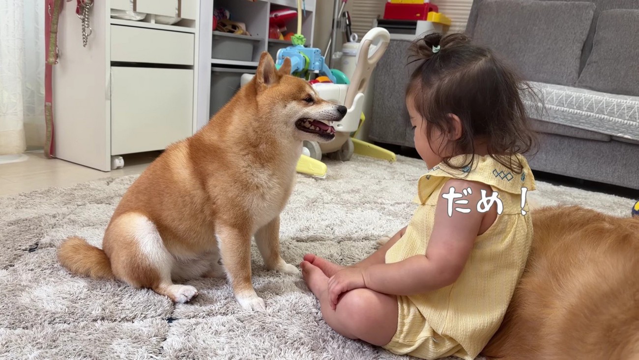 気持ちを表現するほのちゃん