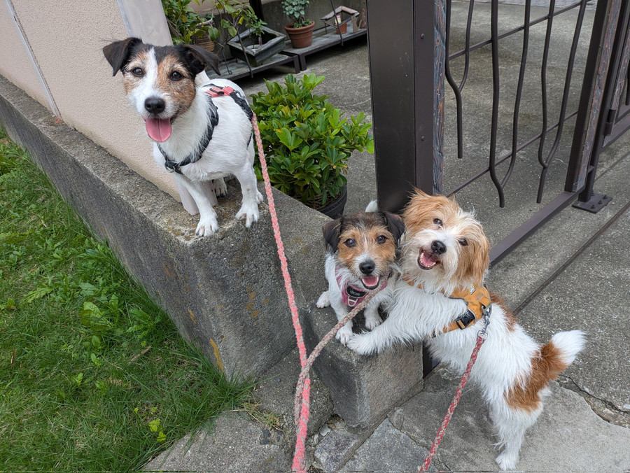 高くて細い段差も…