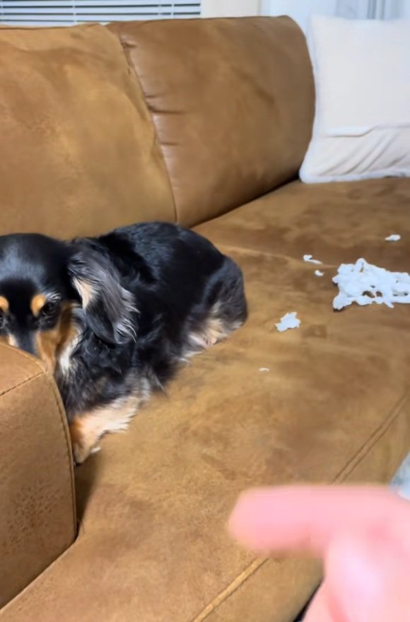 指をさされるまるちゃん