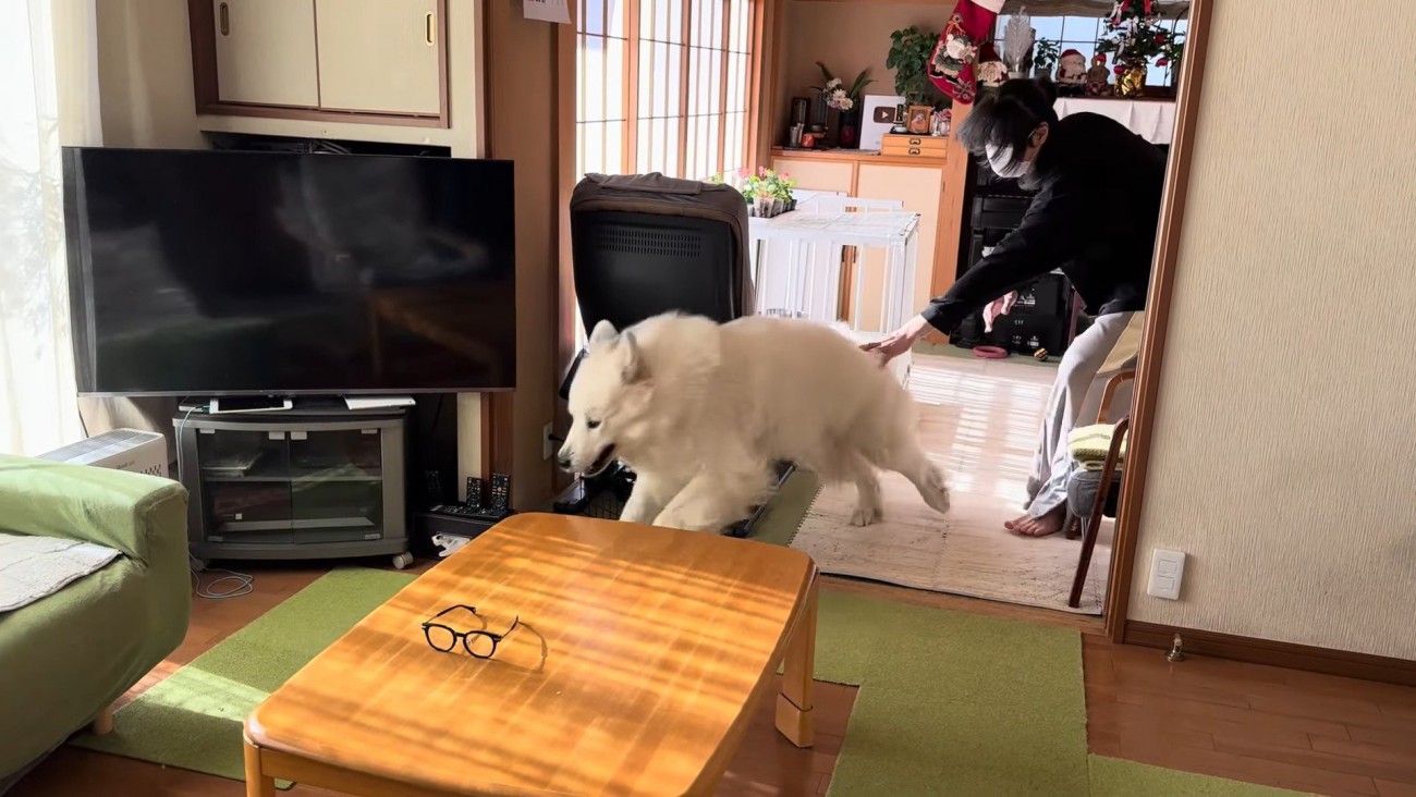 お風呂に入れたいパパVSドレミちゃん
