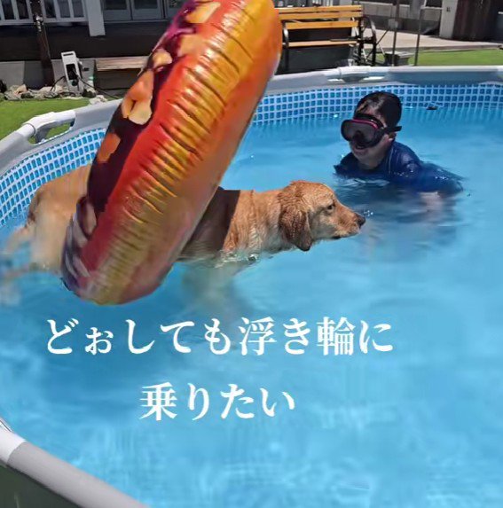 浮き輪が半回転