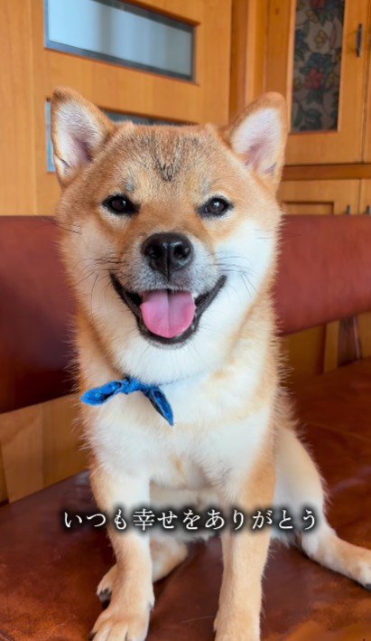 いつも幸せをありがとう