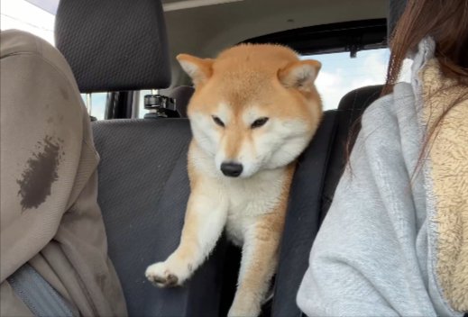 突っかえる