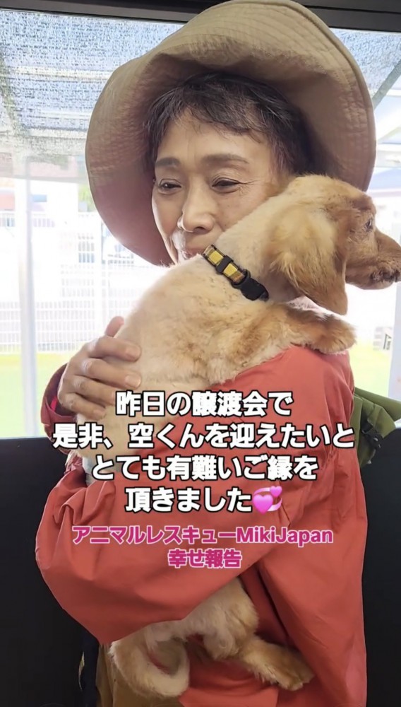 人の腕の中にいる犬