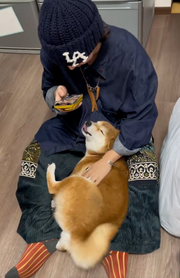 舌が出るコムギックスさん