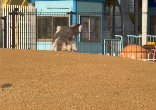 後ろをチラ見♪
