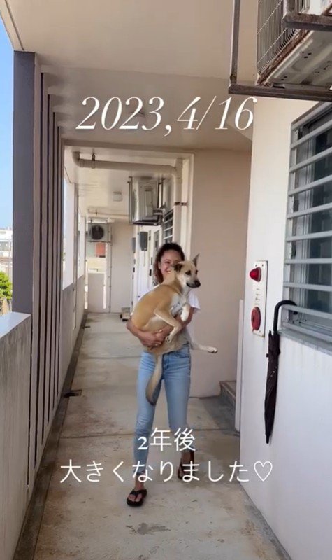 Jayくんのビフォーアフター5