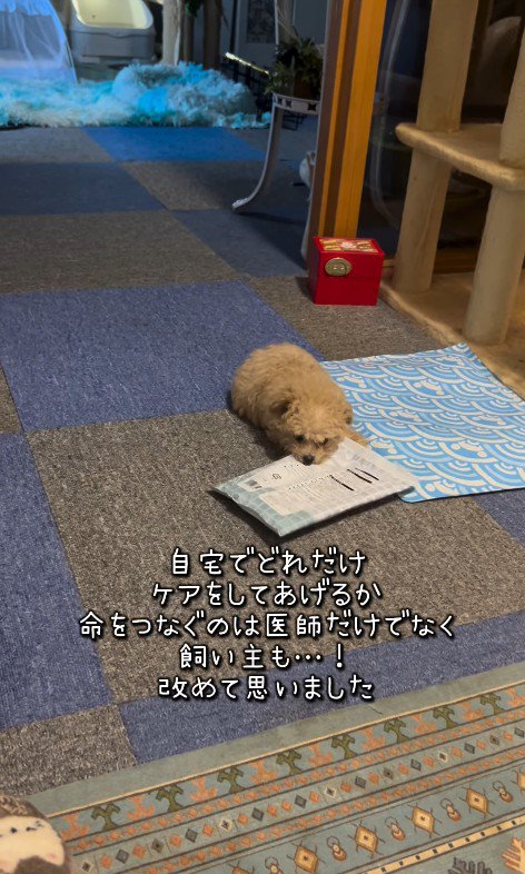 みらいちゃんが元気になるまで9