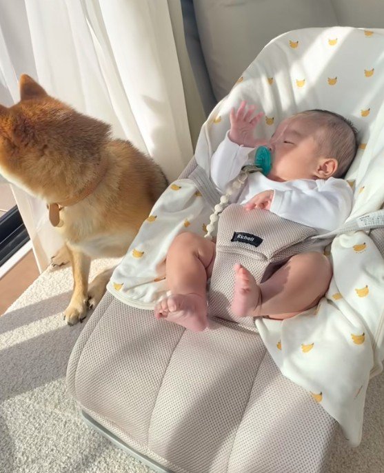 危ないものはないかな？