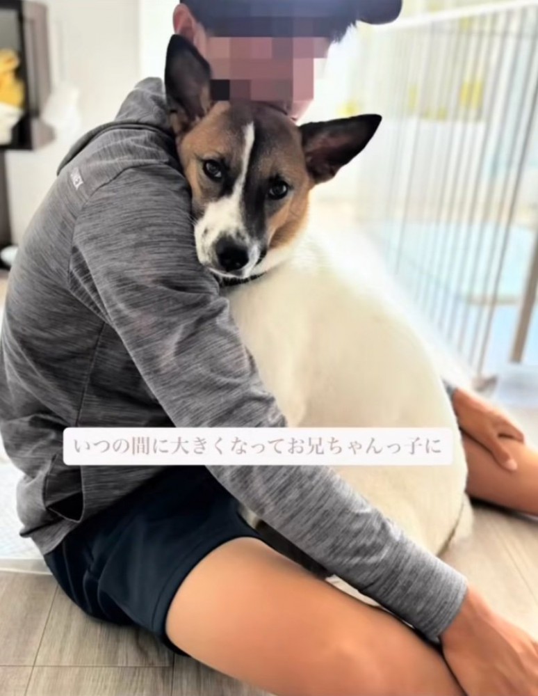 お兄ちゃんに寄りかかる犬