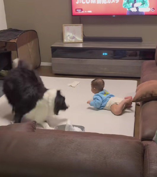 赤ちゃんが突然叫んだ！！