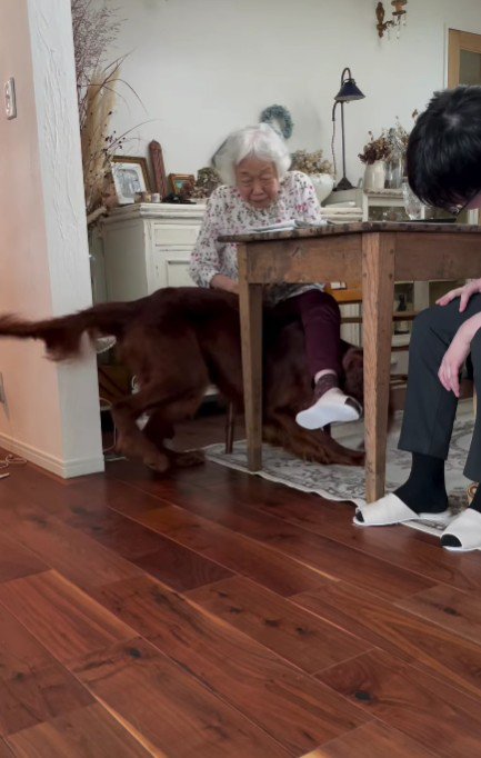 おばあちゃんに突撃！！