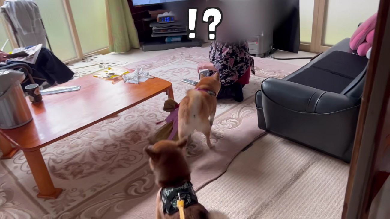 突然の訪問にビックリ！！