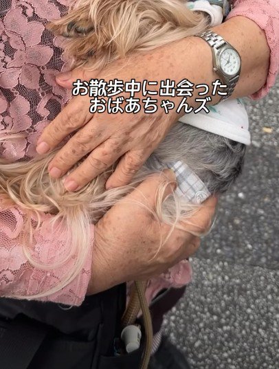 おばあちゃんと出会った