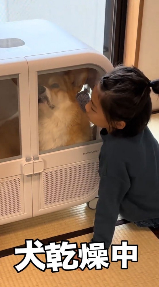 ドライヤーハウスの中をのぞき込む女の子