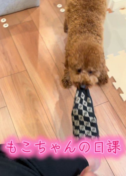 靴下を脱がせるのが日課！