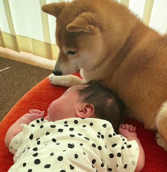 優しい眼差しが母のよう…