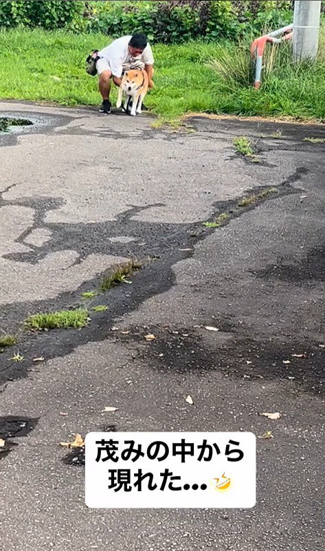 ぶん太くんとパパさんのお散歩4