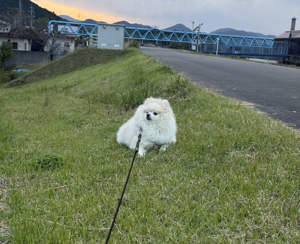 「首から上しか動いてない」と言われるちくわさん
