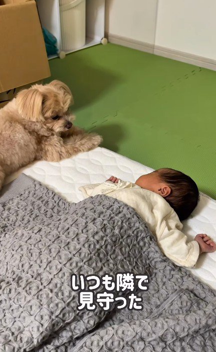 いつでも見守ってきた