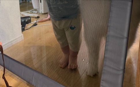 仲良く並ぶあんよ