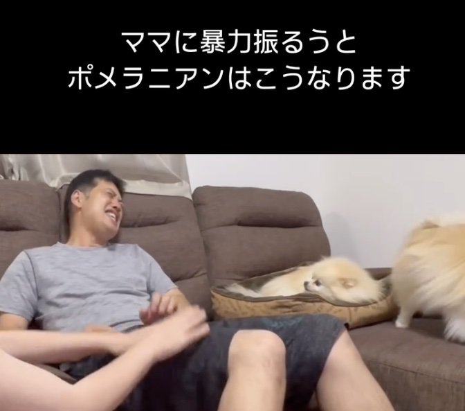 マリンちゃん「どしたん？」