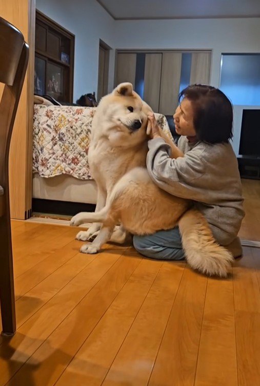 寒い日の朝の駄偉助くん3