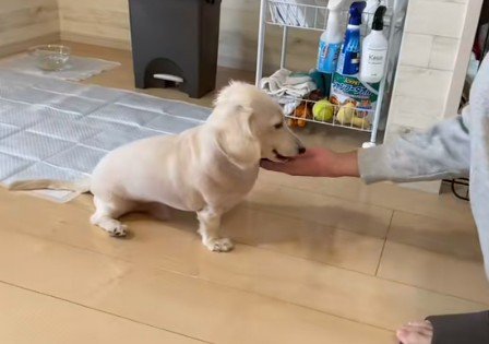 ダンボールで塞がれて…