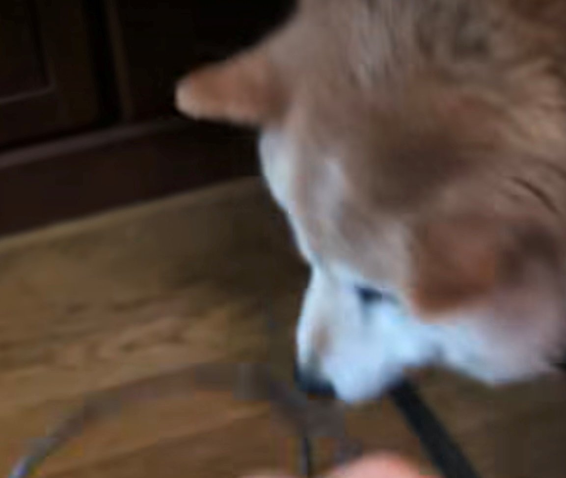 頭から台が外れた直後の様子