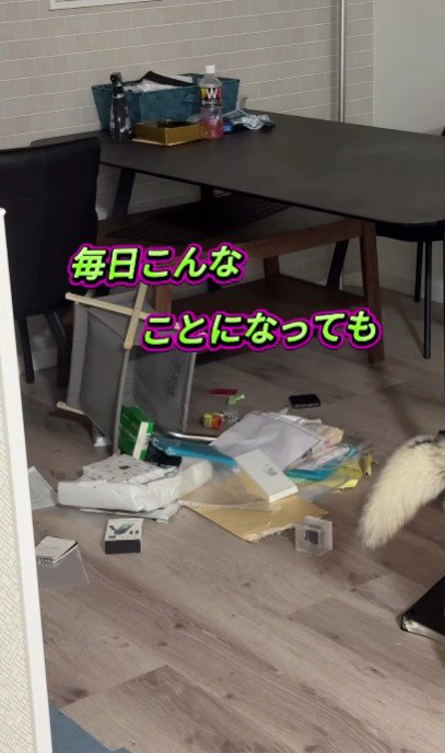 いたずらは毎日続いた