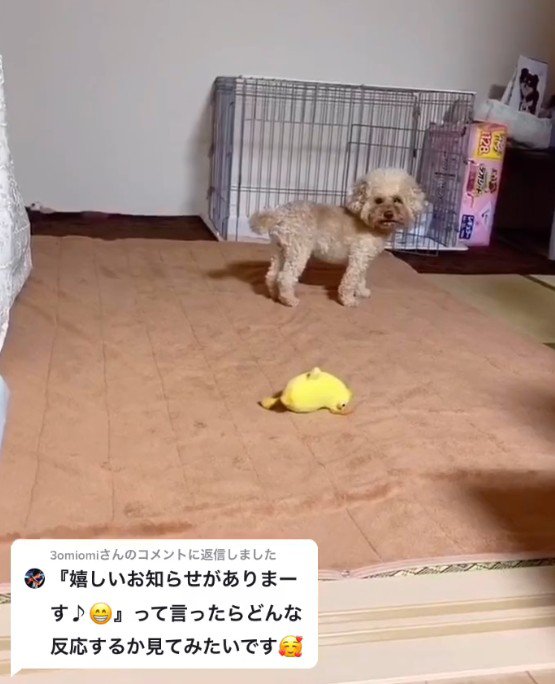 「今、なんて…？」