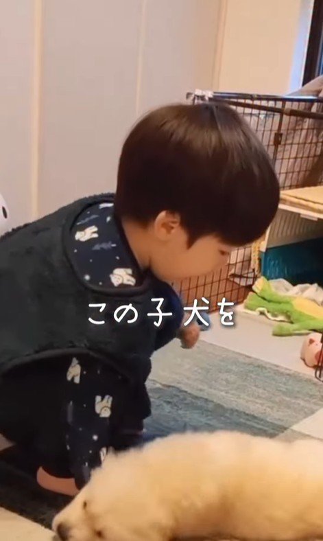 エルくんと男の子